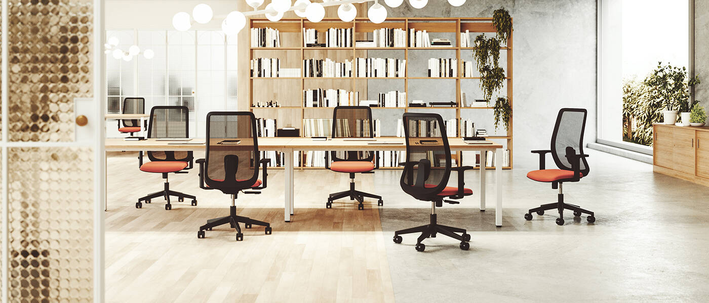 Clif Baner 0002 Cliff (7)