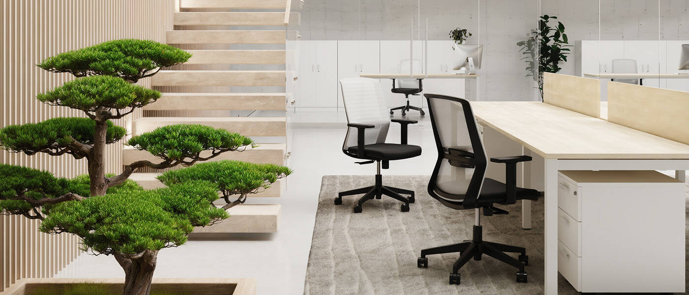 Oyana Baner 0002 Oyana (1)